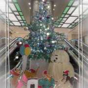 ヒメ日記 2025/11/26 13:23 投稿 果鈴(かりん) 人妻出逢い会 百合の園 池袋店