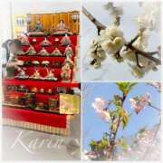 ヒメ日記 2026/02/24 21:53 投稿 果鈴(かりん) 人妻出逢い会 百合の園 池袋店