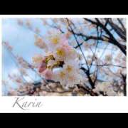 ヒメ日記 2026/03/19 21:23 投稿 果鈴(かりん) 人妻出逢い会 百合の園 池袋店