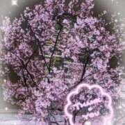 ヒメ日記 2025/04/01 14:26 投稿 とわ 熟女の風俗最終章 池袋店