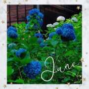 ヒメ日記 2025/06/03 21:52 投稿 とわ 熟女の風俗最終章 池袋店