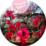 ヒメ日記 2026/02/01 09:02 投稿 とわ 熟女の風俗最終章 池袋店