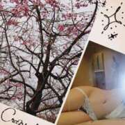 ヒメ日記 2025/09/26 11:00 投稿 あかり アバンチュール（難波）