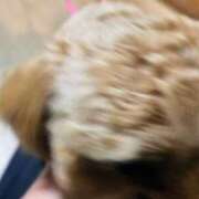 ヒメ日記 2025/11/13 12:01 投稿 あかり アバンチュール（難波）