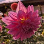 ヒメ日記 2025/10/01 09:00 投稿 えりか アバンチュール（難波）