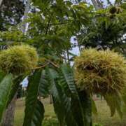 ヒメ日記 2025/10/08 09:00 投稿 えりか アバンチュール（難波）