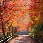 ヒメ日記 2025/11/07 08:00 投稿 えりか アバンチュール（難波）