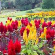 ヒメ日記 2025/11/14 08:15 投稿 えりか アバンチュール（難波）