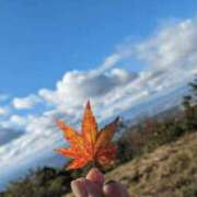 ヒメ日記 2025/11/19 08:30 投稿 えりか アバンチュール（難波）