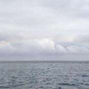 ヒメ日記 2025/11/26 08:00 投稿 えりか アバンチュール（難波）