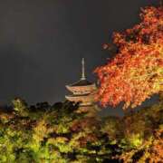 ヒメ日記 2025/12/12 19:05 投稿 えりか アバンチュール（難波）