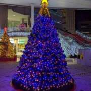 ヒメ日記 2025/12/24 08:15 投稿 えりか アバンチュール（難波）