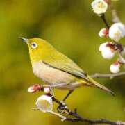 ヒメ日記 2025/01/14 15:28 投稿 けいこ アバンチュール（難波）