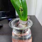 ヒメ日記 2025/01/25 09:40 投稿 けいこ アバンチュール（難波）