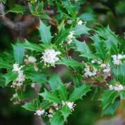 ヒメ日記 2025/01/28 14:42 投稿 けいこ アバンチュール（難波）