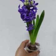 ヒメ日記 2025/02/11 15:36 投稿 けいこ アバンチュール（難波）