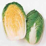 ヒメ日記 2025/02/20 15:42 投稿 けいこ アバンチュール（難波）