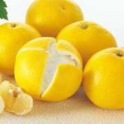 ヒメ日記 2025/02/26 16:01 投稿 けいこ アバンチュール（難波）