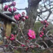 ヒメ日記 2025/03/11 19:12 投稿 けいこ アバンチュール（難波）