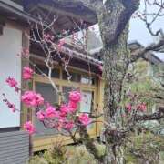 ヒメ日記 2025/03/18 15:28 投稿 けいこ アバンチュール（難波）