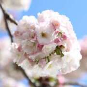 ヒメ日記 2025/04/02 16:59 投稿 けいこ アバンチュール（難波）