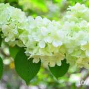 ヒメ日記 2025/05/07 15:53 投稿 けいこ アバンチュール（難波）