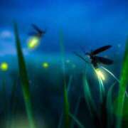 ヒメ日記 2025/06/11 14:03 投稿 けいこ アバンチュール（難波）