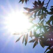 ヒメ日記 2025/06/25 17:08 投稿 けいこ アバンチュール（難波）