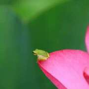 ヒメ日記 2025/06/26 16:03 投稿 けいこ アバンチュール（難波）