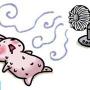 ヒメ日記 2025/07/13 14:03 投稿 けいこ アバンチュール（難波）