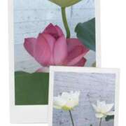 ヒメ日記 2025/07/29 13:02 投稿 けいこ アバンチュール（難波）