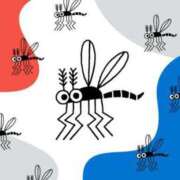 ヒメ日記 2025/10/04 14:41 投稿 けいこ アバンチュール（難波）