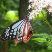 ヒメ日記 2025/10/18 14:12 投稿 けいこ アバンチュール（難波）