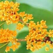 ヒメ日記 2025/10/19 09:39 投稿 けいこ アバンチュール（難波）