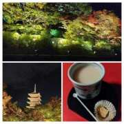 ヒメ日記 2025/11/15 14:25 投稿 けいこ アバンチュール（難波）