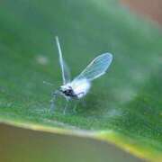 ヒメ日記 2025/11/25 16:20 投稿 けいこ アバンチュール（難波）