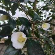 ヒメ日記 2025/12/16 14:15 投稿 けいこ アバンチュール（難波）