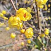 ヒメ日記 2026/01/17 14:04 投稿 けいこ アバンチュール（難波）