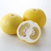 ヒメ日記 2026/01/21 14:01 投稿 けいこ アバンチュール（難波）