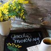 ヒメ日記 2026/03/15 08:08 投稿 けいこ アバンチュール（難波）