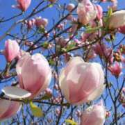 ヒメ日記 2026/03/24 15:18 投稿 けいこ アバンチュール（難波）