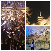 ヒメ日記 2026/04/07 14:08 投稿 けいこ アバンチュール（難波）