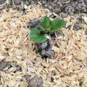 けいこ こんにちは😃 アバンチュール（難波）