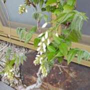 ヒメ日記 2026/04/18 14:36 投稿 けいこ アバンチュール（難波）