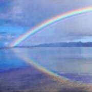 ヒメ日記 2025/05/08 17:04 投稿 真咲 熟女の風俗最終章 横浜本店