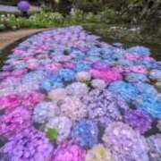 ヒメ日記 2025/05/16 23:44 投稿 真咲 熟女の風俗最終章 横浜本店