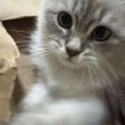 ヒメ日記 2025/06/21 03:14 投稿 真咲 熟女の風俗最終章 横浜本店