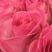 ヒメ日記 2025/07/10 23:44 投稿 真咲 熟女の風俗最終章 横浜本店