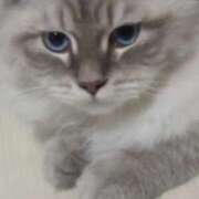 ヒメ日記 2025/07/16 23:44 投稿 真咲 熟女の風俗最終章 横浜本店