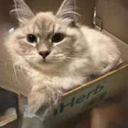 ヒメ日記 2025/08/21 23:04 投稿 真咲 熟女の風俗最終章 横浜本店